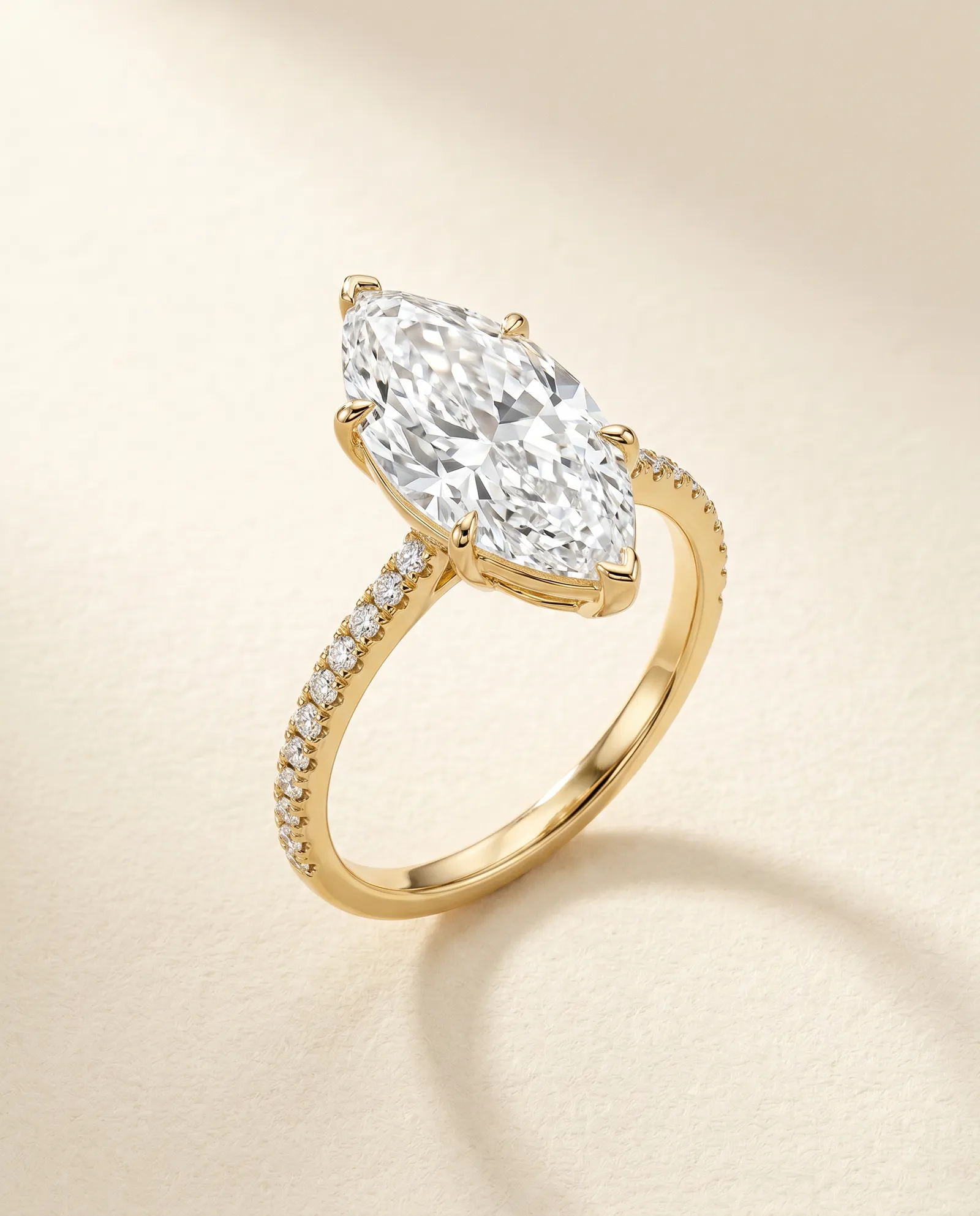 The Marquise